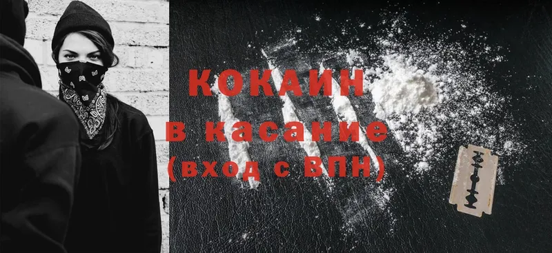 купить закладку  Вологда  Cocaine Fish Scale 